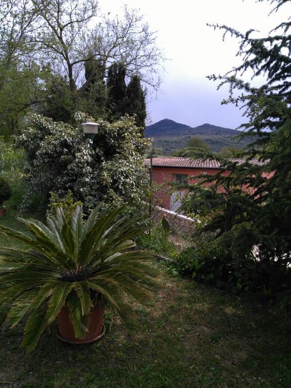 Agriturismo Usurtala Orani Екстер'єр фото