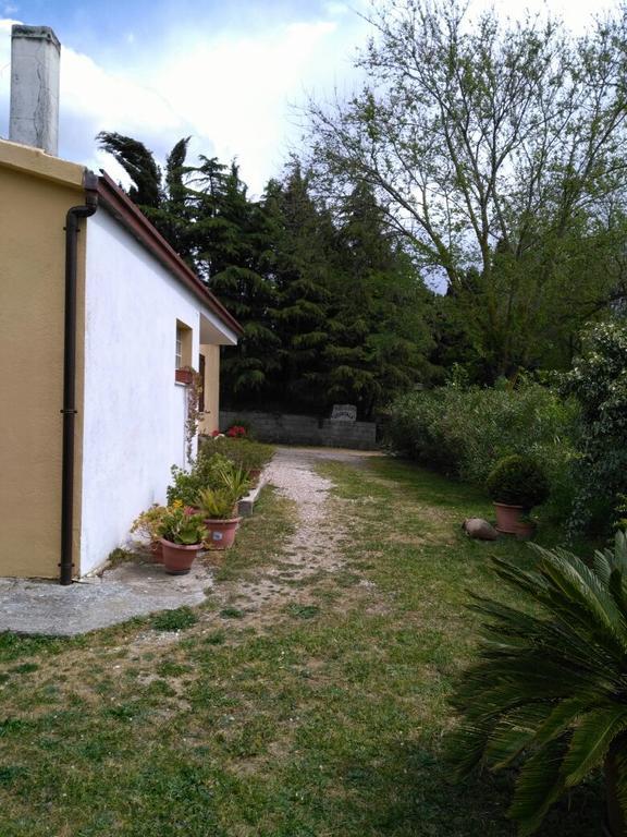 Agriturismo Usurtala Orani Екстер'єр фото