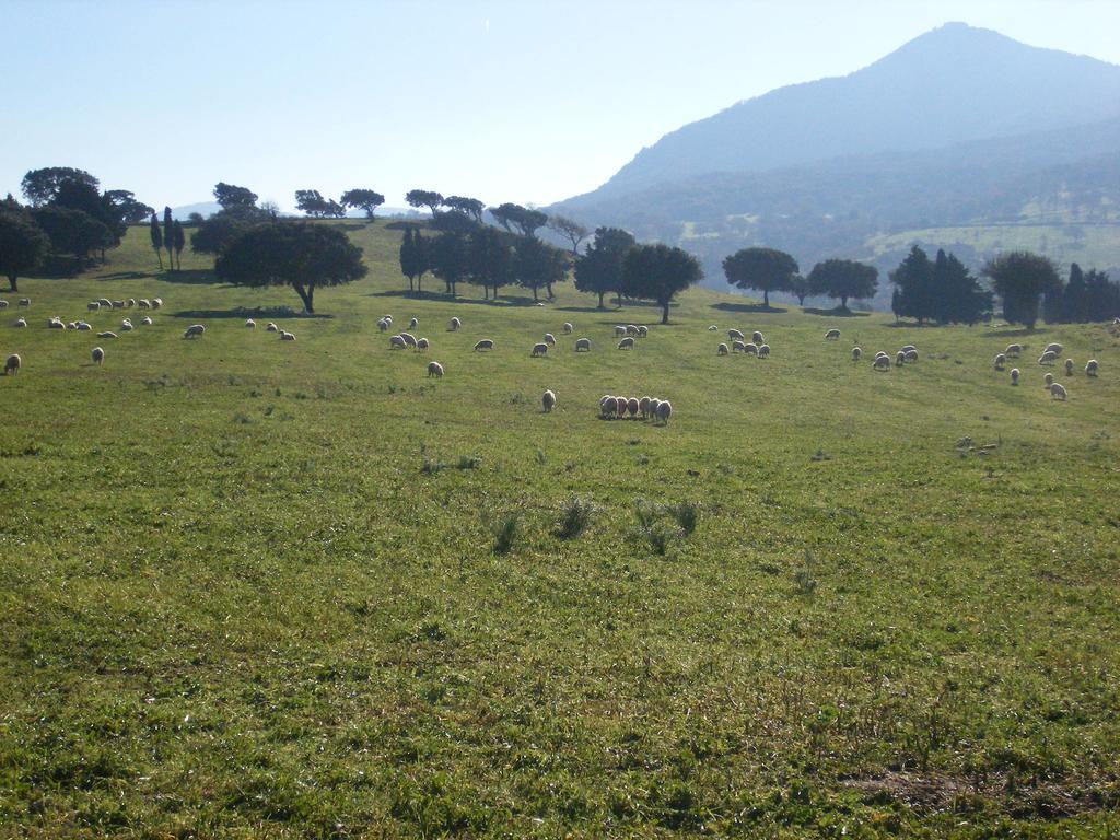 Agriturismo Usurtala Orani Екстер'єр фото
